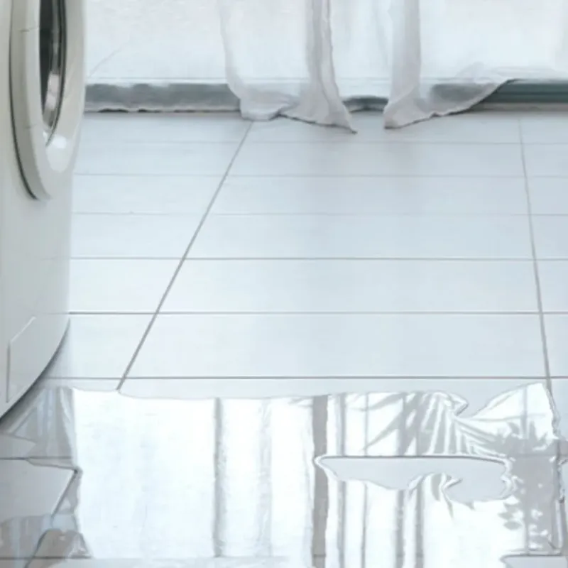 Appliance Leak Cleanup in South Rosemary, NC