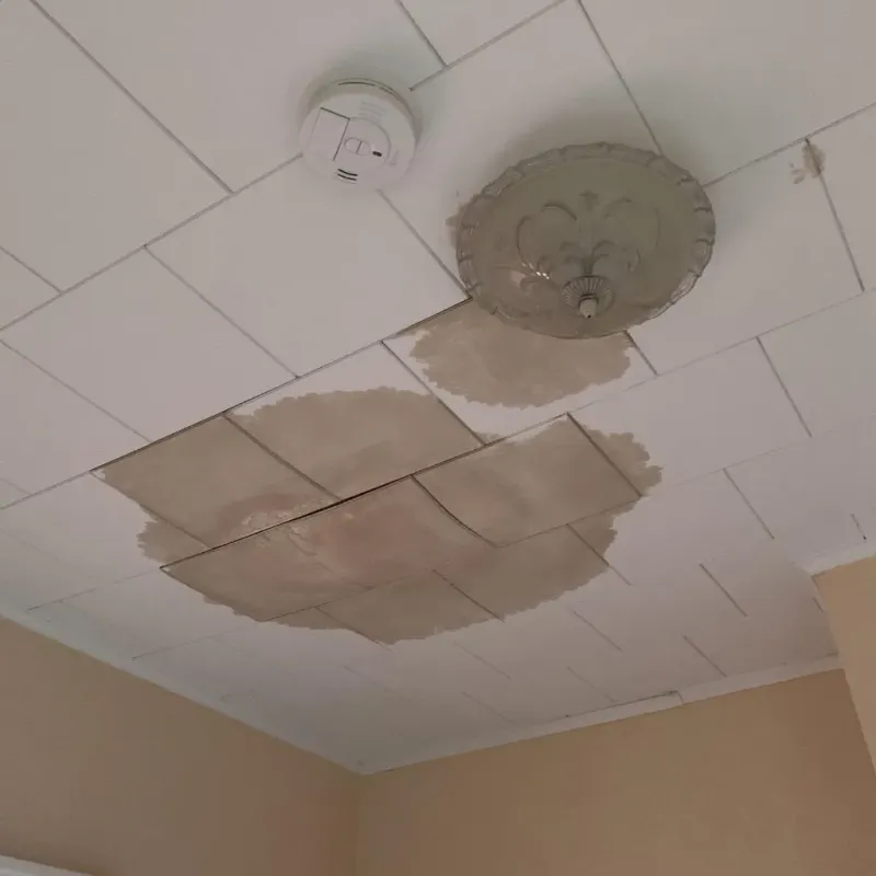 Ceiling Water Damage Repair in South Rosemary, NC