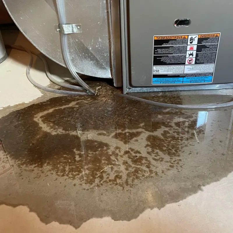 Pipe Burst and Leak Restoration in South Rosemary, NC