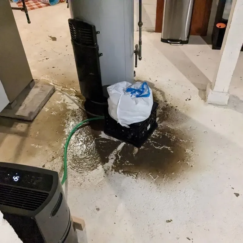 Sewage Backup Cleanup Service in South Rosemary, NC